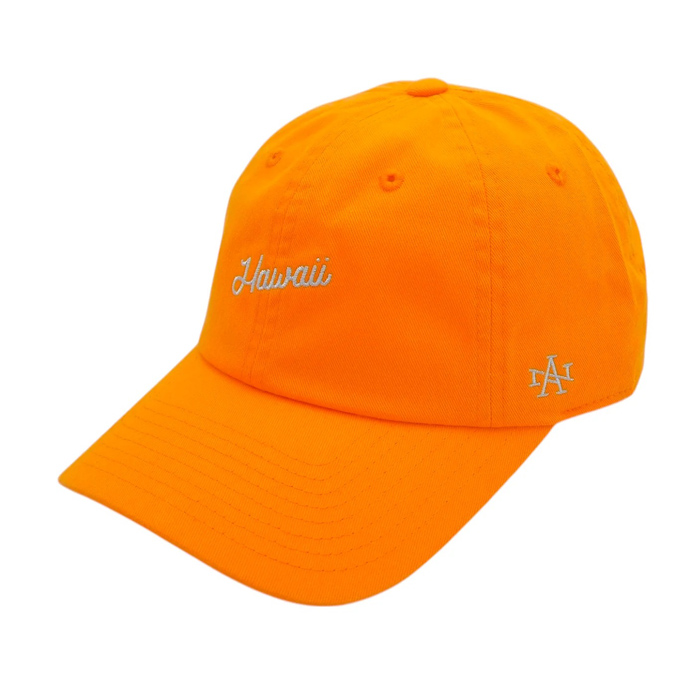  AMERICAN NEEDOLアメリカンニードル キャップ CAP