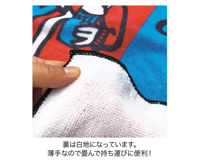 BEACH MAT ビーチマット ICEE 